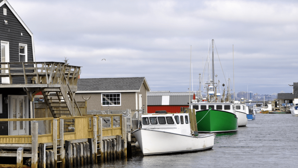 Eastern Passage - Cow Bay
